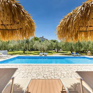 Wine House & Marceta Apartment